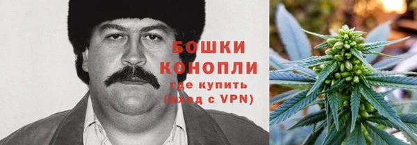 винт Аркадак