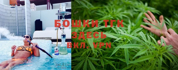 винт Аркадак