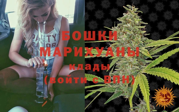 мет Арсеньев