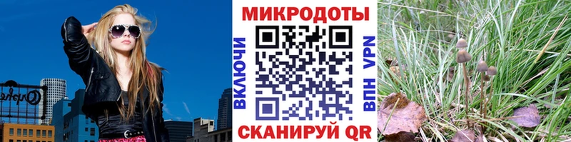 Галлюциногенные грибы Psilocybine cubensis наркошоп Валдай
